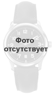 Смарт-часы Garmin fenix 8 51mm AMOLED Sapphire Carbon Gray DLC