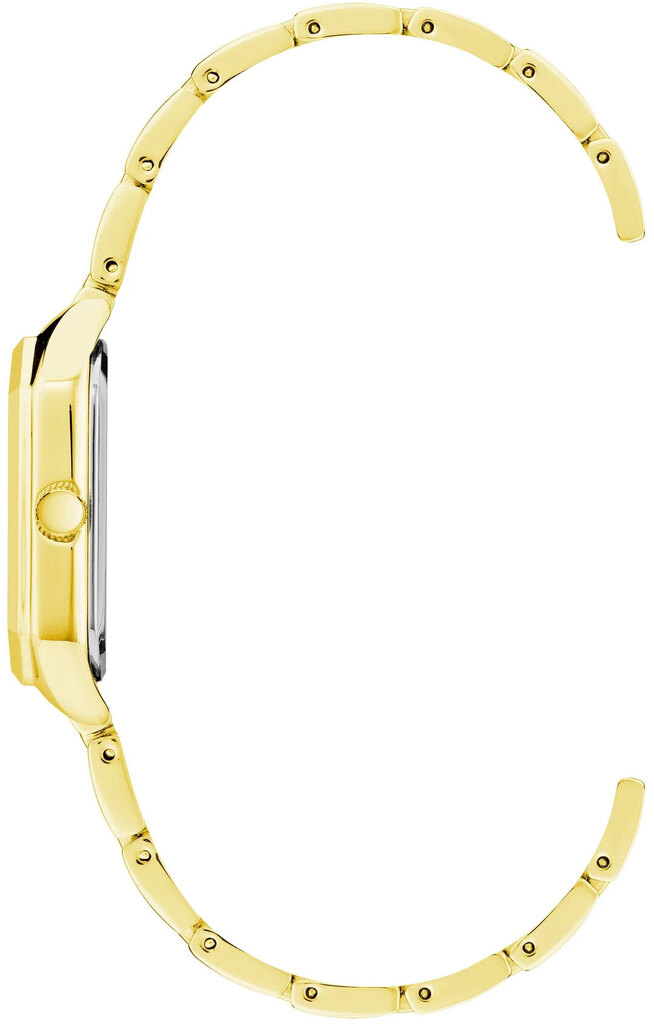 Годинник Anne Klein AK/3774HPGB